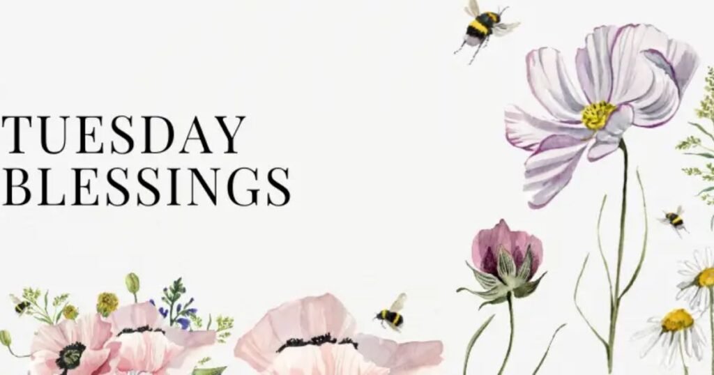 Positive Tuesday Blessings
