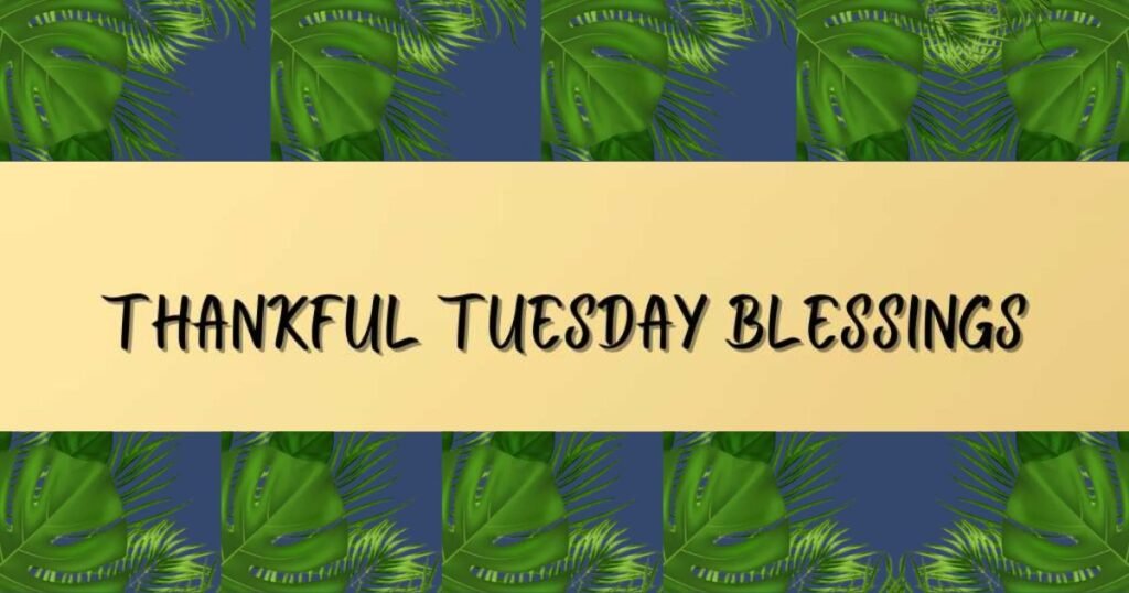Thankful Tuesday Blessings