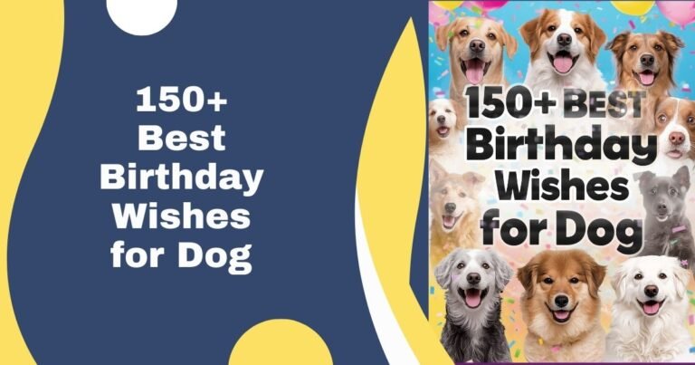 150+ Best Birthday Wishes for Dog