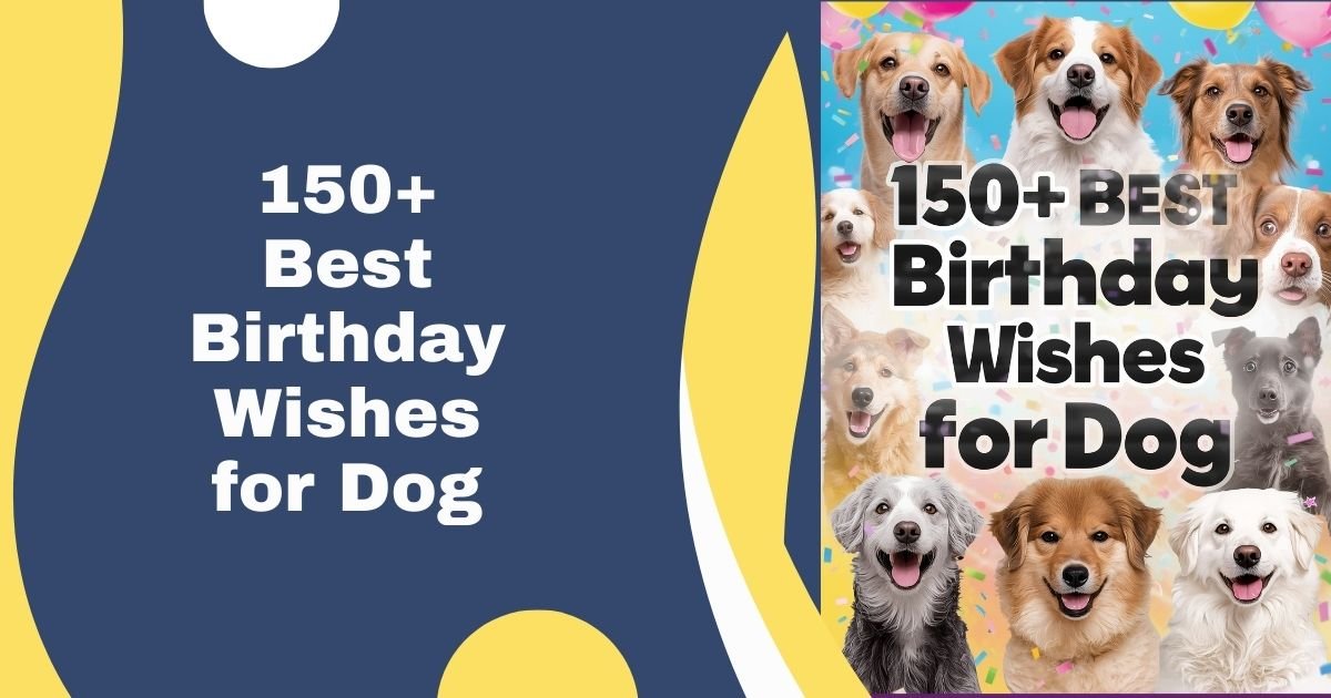 150+ Best Birthday Wishes for Dog