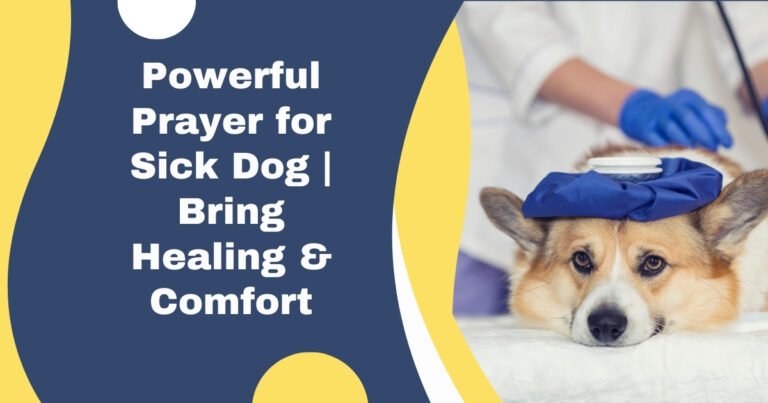 Prayer for Sick Dog